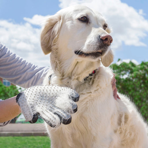Pet Brush & Massage Glove Relpet InnovaGoods - VMX PETS