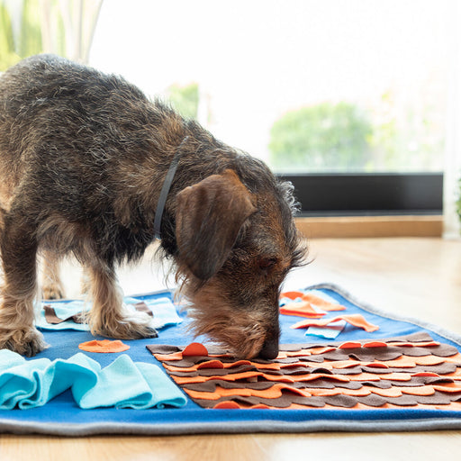 Sniffing Mat for Pets Foopark InnovaGoods - VMX PETS