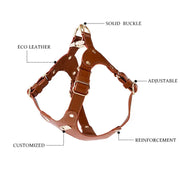 Adjustable Leather Pet Harness Vest - VMX PETS - VMX PETS