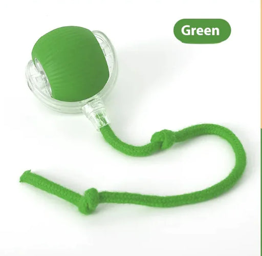 Interactive Cat Toy Ball Super Drive Cat Rolling Balls With Bird Chirping Motion Activated Sensor Pets Kitten Teaser Game Toys Pet Products - VMX PETS - VMX PETS