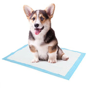Super Absorbent Pet Diaper Dog Training Pee Pads - VMX PETS - VMX PETS