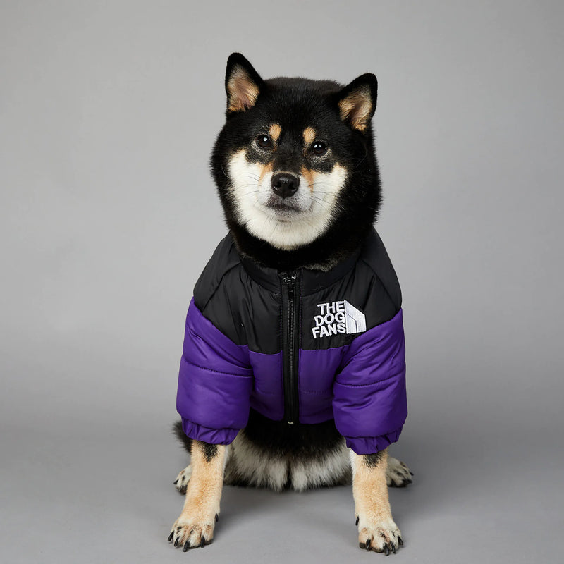 Fashion Warm Raincoat Dog Pet Padded Jacket - VMX PETS - VMX PETS