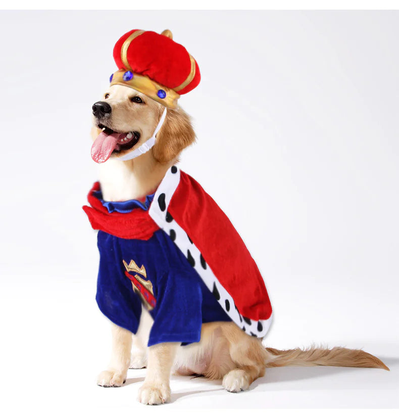 Pet King Cape Accessory Set for Dog - VMX PETS - VMX PETS