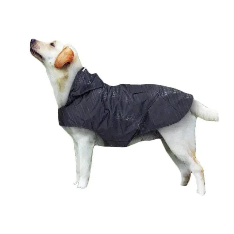 WeatherWise Pet Raincoat - VMX PETS