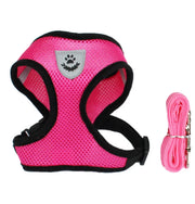 Comfortable Breathable Harness For Your Pet - VMX PETS - VMX PETS
