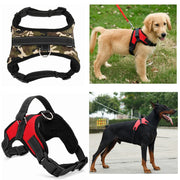 Dog Pet Harness Collar Adjustable - VMX PETS - VMX PETS