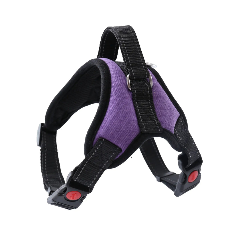 Pet Walking Harness Adjustable Comfort - VMX PETS - VMX PETS