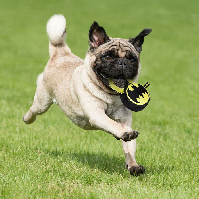 Batman 100 % Polyester Dog Toy - VMX PETS