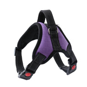 Pet Walking Harness Adjustable Comfort - VMX PETS - VMX PETS