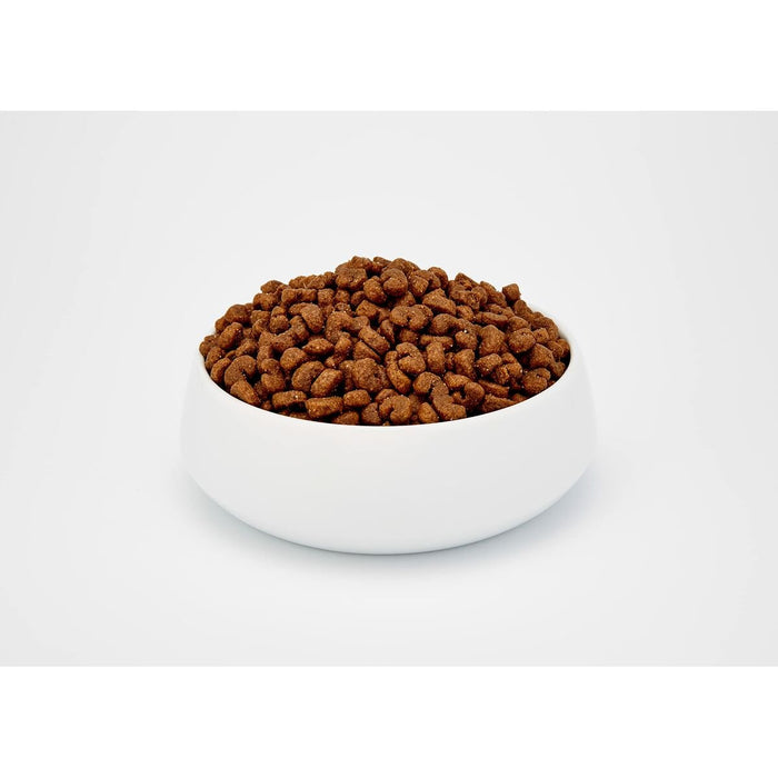 BOSCH Dry Food For Cat (10 kg) - VMX PETS