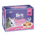 Brit Premium Family Plate Cat Wet Food - VMX PETS