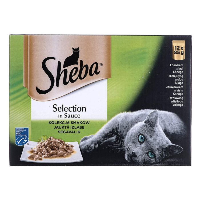 Cat Food Sheba (Box) - VMX PETS