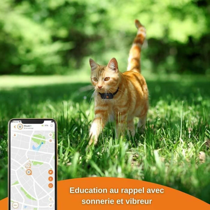 Cat Weenect Anti - loss Localiser GPS - VMX PETS