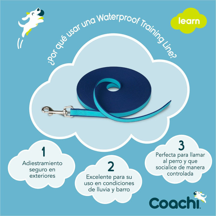 Coachi Blue Dog Training Lead - VMX PETS