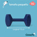 Coachi Plastic Training Dumbbell - VMX PETS