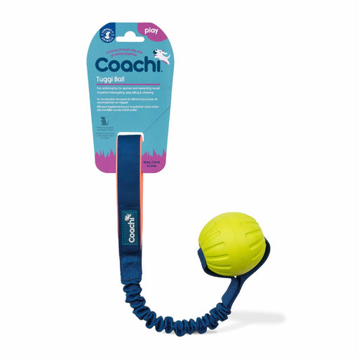 Coachi TUGGI HELIX Training Toy - VMX PETS