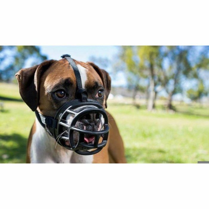 Company of Animals Black Dog Muzzle - VMX PETS