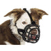 Company of Animals Black Dog Muzzle (Copy) - VMX PETS