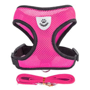 Pet Harness - VMX PETS - VMX PETS
