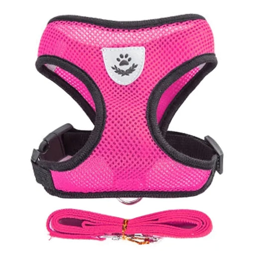 Pet Harness - VMX PETS - VMX PETS