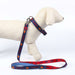 DC Pets Blue Dog Lead - VMX PETS