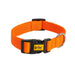 Dingo Dog Collar - VMX PETS