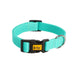 Dingo Dog Collar - VMX PETS