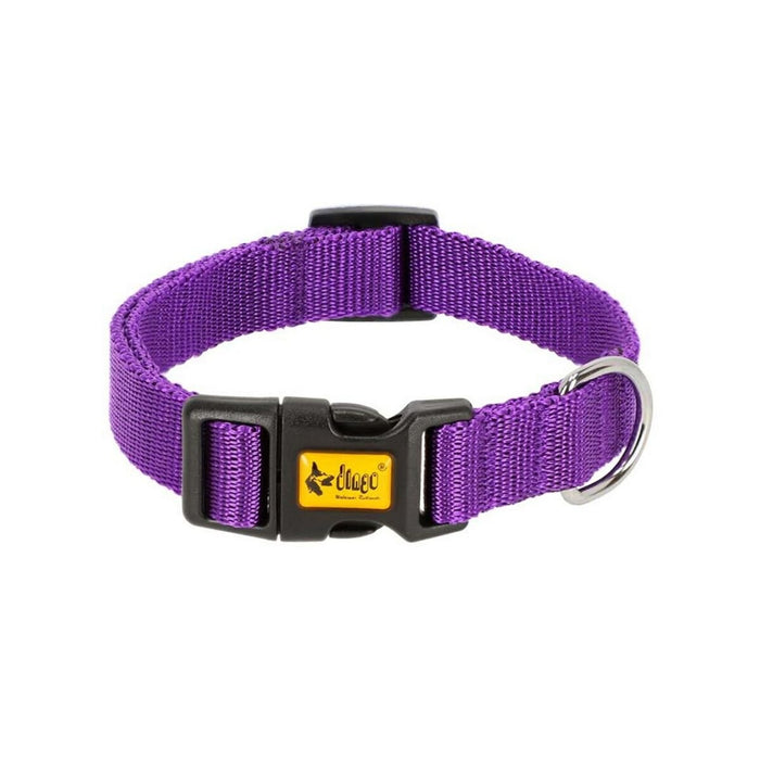 Dingo Dog Collar - VMX PETS