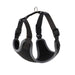 Dingo Dog Harness - VMX PETS