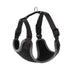 Dingo Dog Harness - VMX PETS