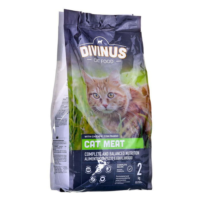 Divinus Dry Food For Cats - VMX PETS