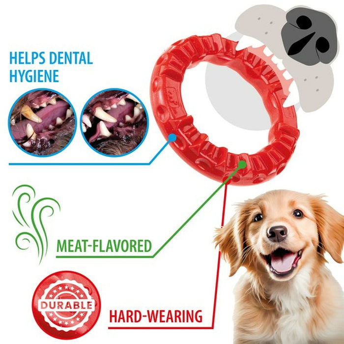 Dog chewing toy Ferplast Red Natural rubber - VMX PETS