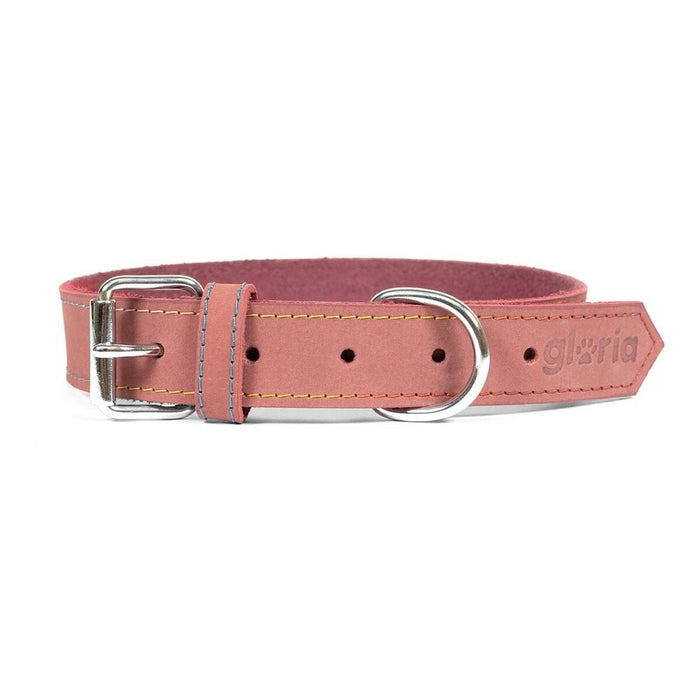 Dog Collar Gloria Oasis - VMX PETS