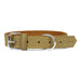 Dog Collar Gloria Oasis - VMX PETS