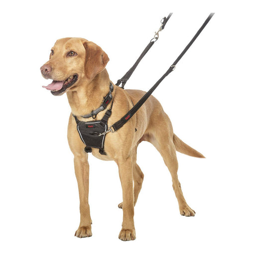 Dog Harness Company of Animals Black - VMX PETS