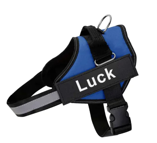 K9 Pet Leash and Harness - VMX PETS - VMX PETS