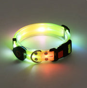 Rechargeable LED Pet Collar with Nylon Leash - VMX PETS - VMX PETS