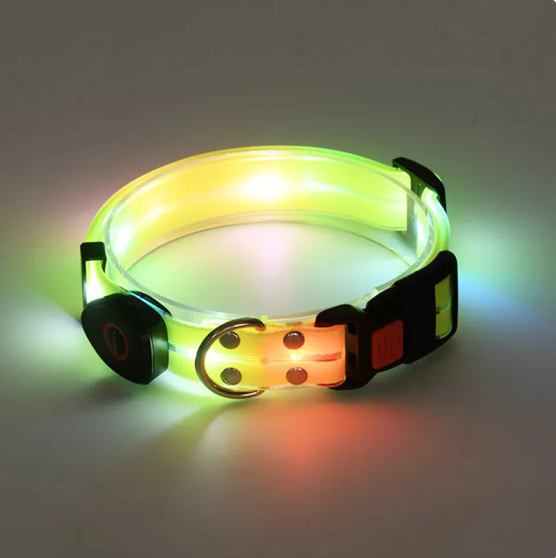 Rechargeable LED Pet Collar with Nylon Leash - VMX PETS - VMX PETS
