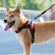 Pet Walking Harness Adjustable Comfort - VMX PETS - VMX PETS