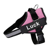 K9 Pet Leash and Harness - VMX PETS - VMX PETS