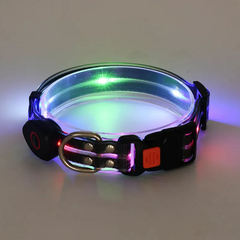 Rechargeable LED Pet Collar with Nylon Leash - VMX PETS - VMX PETS