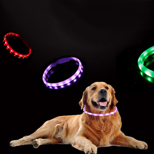 Pet Dog Collar Night Safety Flashing Glow - VMX PETS - VMX PETS