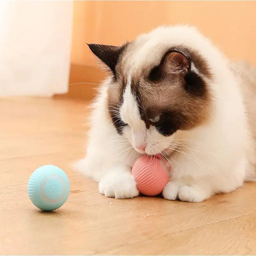 Electric Dog Toys Smart Puppy Ball Toys For Cat Small Dogs Funny Auto Rolling Ball Self-moving Puppy Games Toys Pet Accessories - VMX PETS - VMX PETS