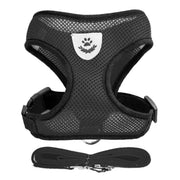 Pet Harness - VMX PETS - VMX PETS