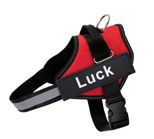 K9 Pet Leash and Harness - VMX PETS - VMX PETS