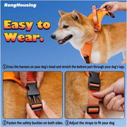 All-in-One Dog Harness & Retractable Leash - VMX PETS - VMX PETS