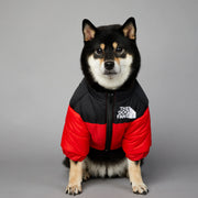 Fashion Warm Raincoat Dog Pet Padded Jacket - VMX PETS - VMX PETS