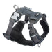 Dog Harness Red Dingo Padded Grey S - VMX PETS