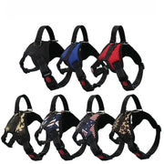 Pet Walking Harness Adjustable Comfort - VMX PETS - VMX PETS