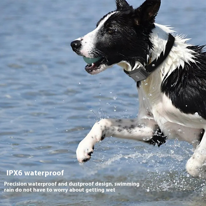 Pet Global Positioning Collar – Real-Time Tracking Locator - VMX PETS - VMX PETS